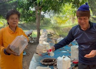 ตายายสู้ชีวิต เลี้ยง “มดแดงคอนโด” ส่งขายกิโลกรัมละ 1 พันบาท ออร์เดอร์พุ่ง