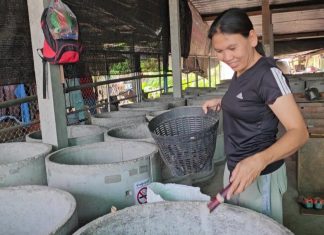 ฟาร์มอ้น “คุณเกศร”สัตว์เศรษฐกิจทางเลือก เลี้ยงง่าย โตเร็ว รายได้งดงาม