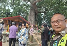 ตำรวจนาดีนำทีมกราบขอขมา “เจ้าพ่อโพธิราช”ก่อนตัดแต่งกิ่งไม้ใหญ่สาย304