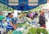 ไพรบึงคึกคัก!รถพุ่มพวง“ไทยช่วยไทย”บุกถึงชุมชน ลดค่าครองชีพ สร้างรายได้ฐานราก