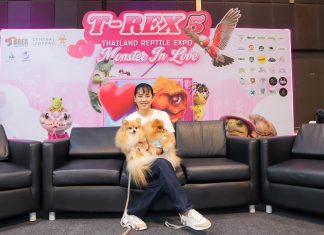 เปิดมุมมอง “ไก่-อารีรัตน์” บนเวที T-REX 5″ เชื่อมศาสตร์คนกับสัตว์ทุกสายพันธุ์